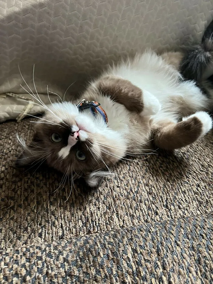 Charlie