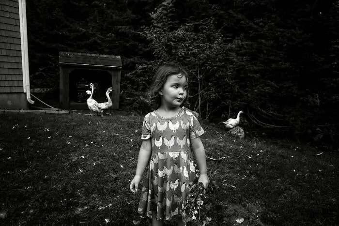 This Photographer Invites You To Take A Look Into The Lives Of A Few Families In Rural Maine (30 Pics)