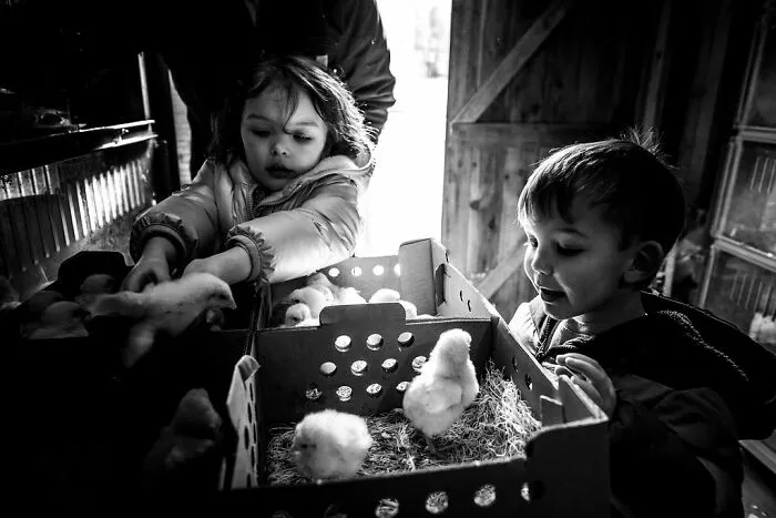 This Photographer Invites You To Take A Look Into The Lives Of A Few Families In Rural Maine (30 Pics)