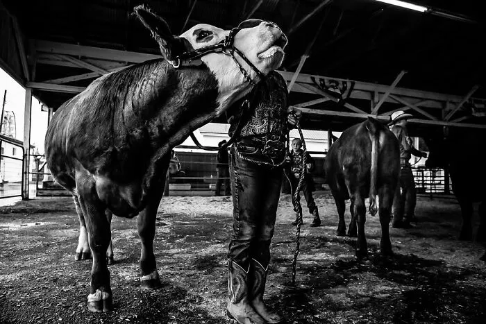 This Photographer Invites You To Take A Look Into The Lives Of A Few Families In Rural Maine (30 Pics)