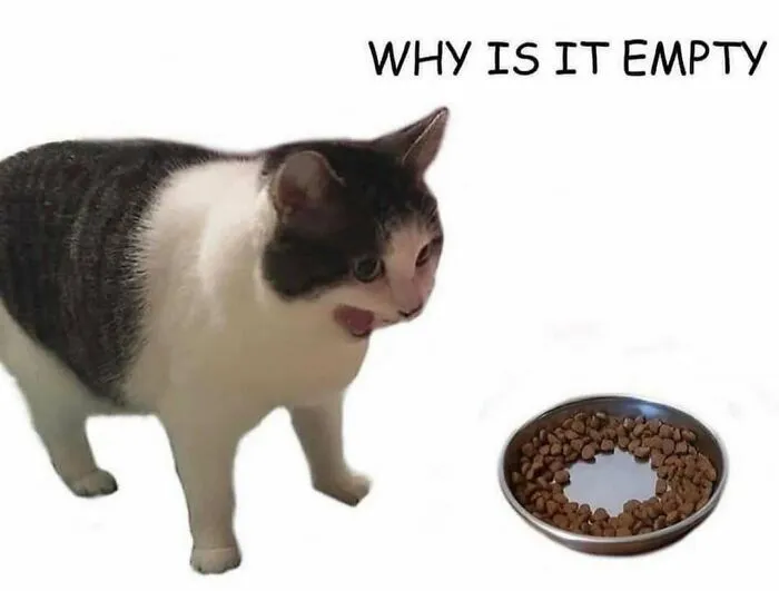 Feline Lovers Assemble, These 46 Amusing Cat Memes Might Be Just What You Need