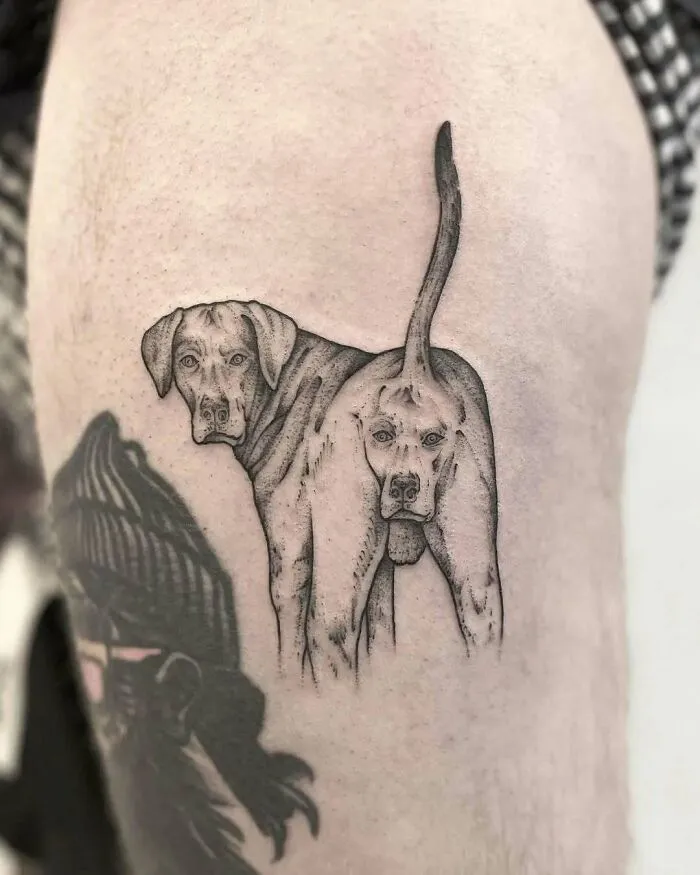 25 Personas que no se dan cuenta de lo horribles que son sus tatuajes (nuevas imágenes)