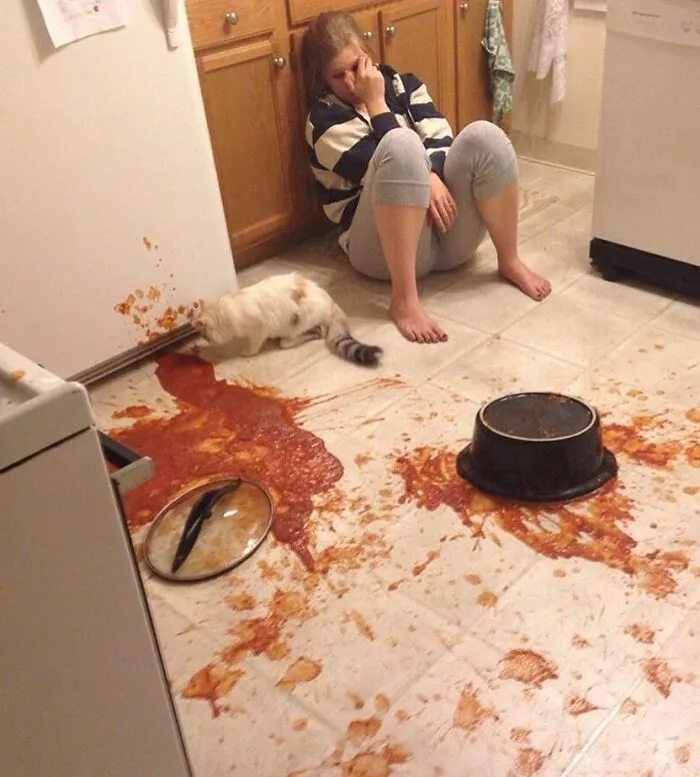 40 Funny Cursed Images That Will Break Your Brain