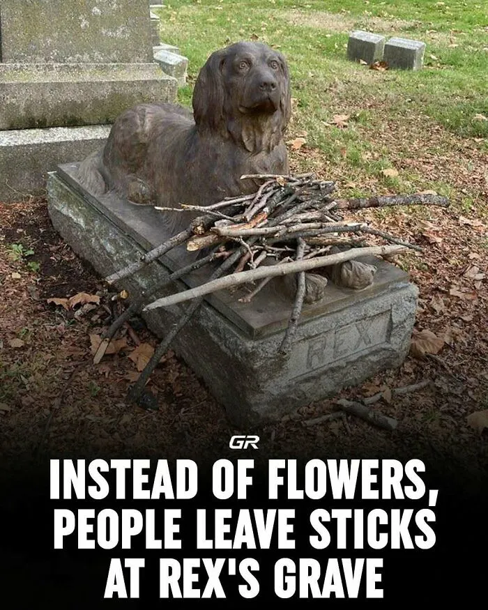 50 Facts And Curiosities More People Should Know About