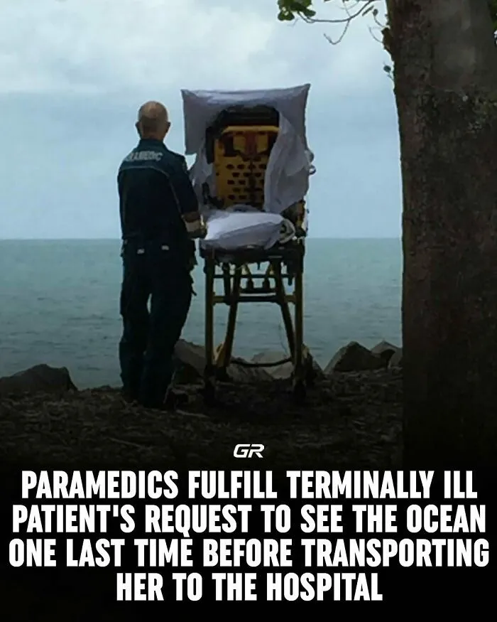 50 Facts And Curiosities More People Should Know About