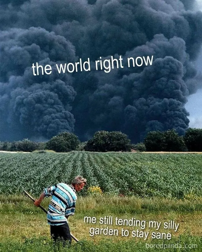 50 Funny Memes For Those Who Have A Green Thumb And A Unique Sense Of Humor