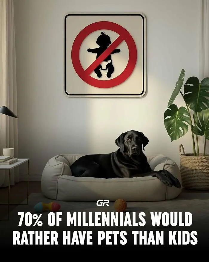50 Facts And Curiosities More People Should Know About