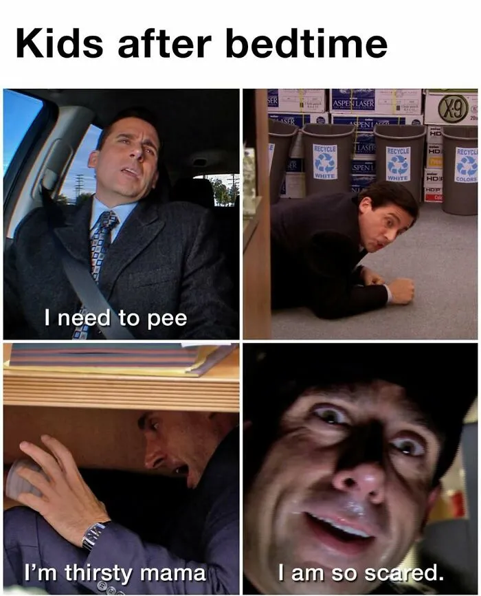 28 Of The Most Hilarious Memes From The Iconic "The Office" That May Make You Chuckle