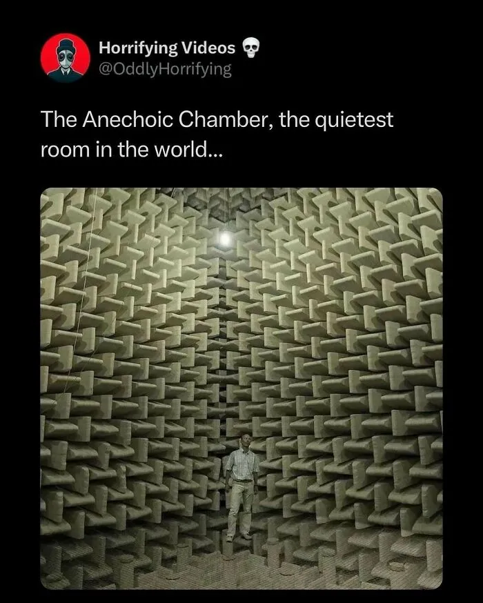 Person standing in the eerie Anechoic Chamber, surrounded by soundproof panels, under dim lighting.