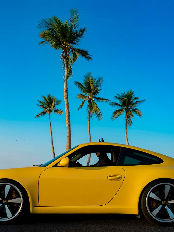 "Test Drive", 2022