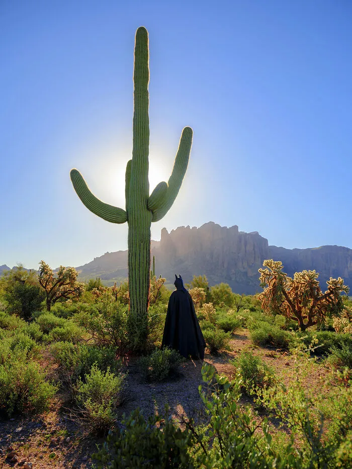"Bat Signal", 2022