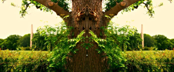 My 36 Photos Of Nature That I Took While Taking A Walk