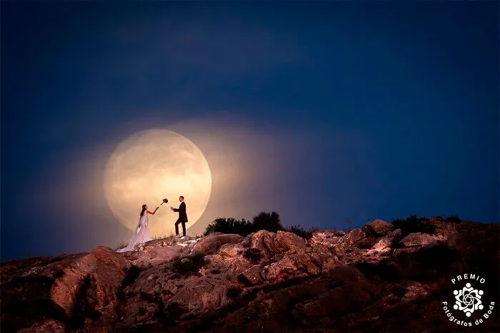 The 25 Best Wedding Photos From the 2025 Premios Fdb Awards