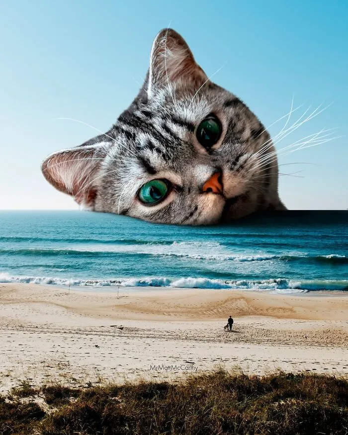 Artist Imagines Surreal Parallel Universe Where Giant Cats Reign, And Here Are 30 New Pieces