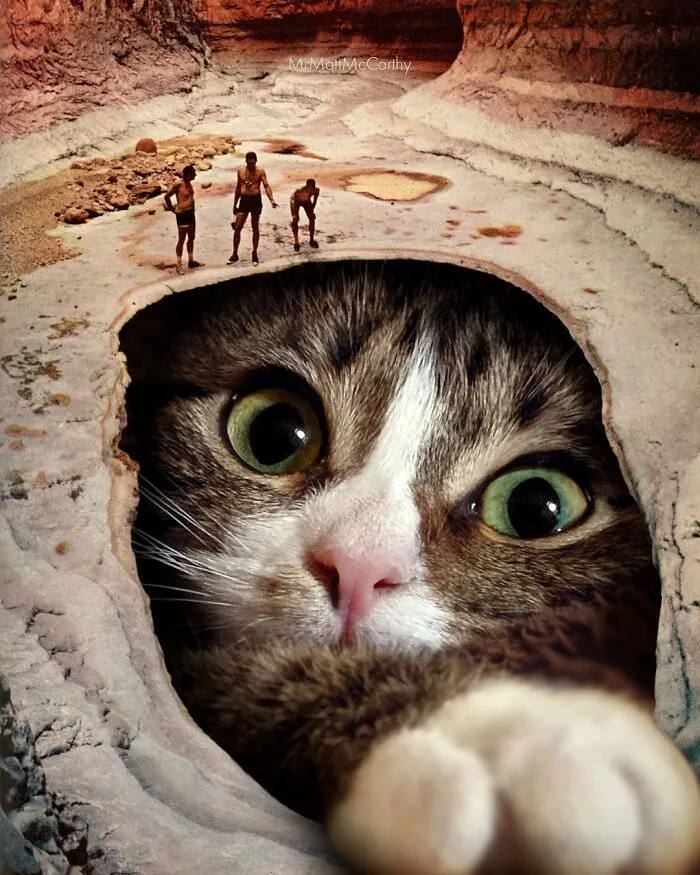 Artist Imagines Surreal Parallel Universe Where Giant Cats Reign, And Here Are 30 New Pieces
