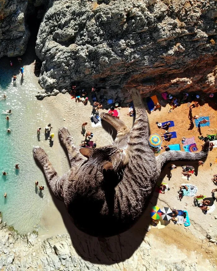 Artist Imagines Surreal Parallel Universe Where Giant Cats Reign, And Here Are 30 New Pieces