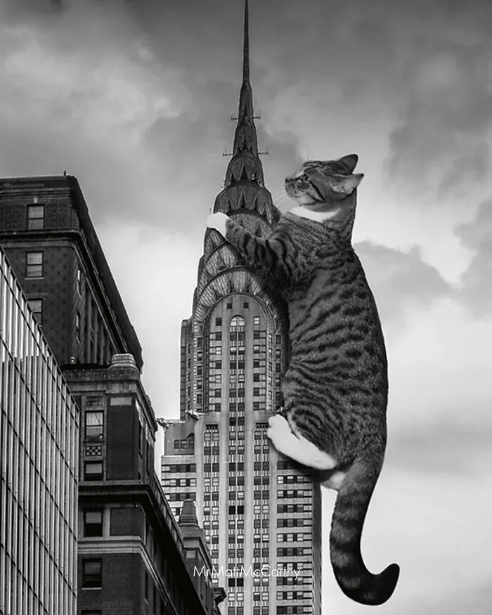 Artist Imagines Surreal Parallel Universe Where Giant Cats Reign, And Here Are 30 New Pieces