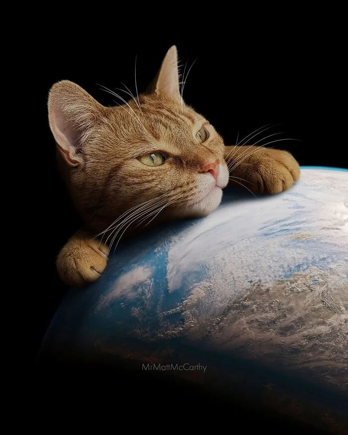 Artist Imagines Surreal Parallel Universe Where Giant Cats Reign, And Here Are 30 New Pieces