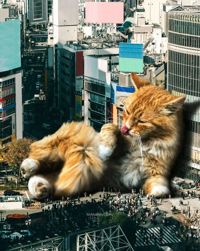 Artist Imagines Surreal Parallel Universe Where Giant Cats Reign, And Here Are 30 New Pieces