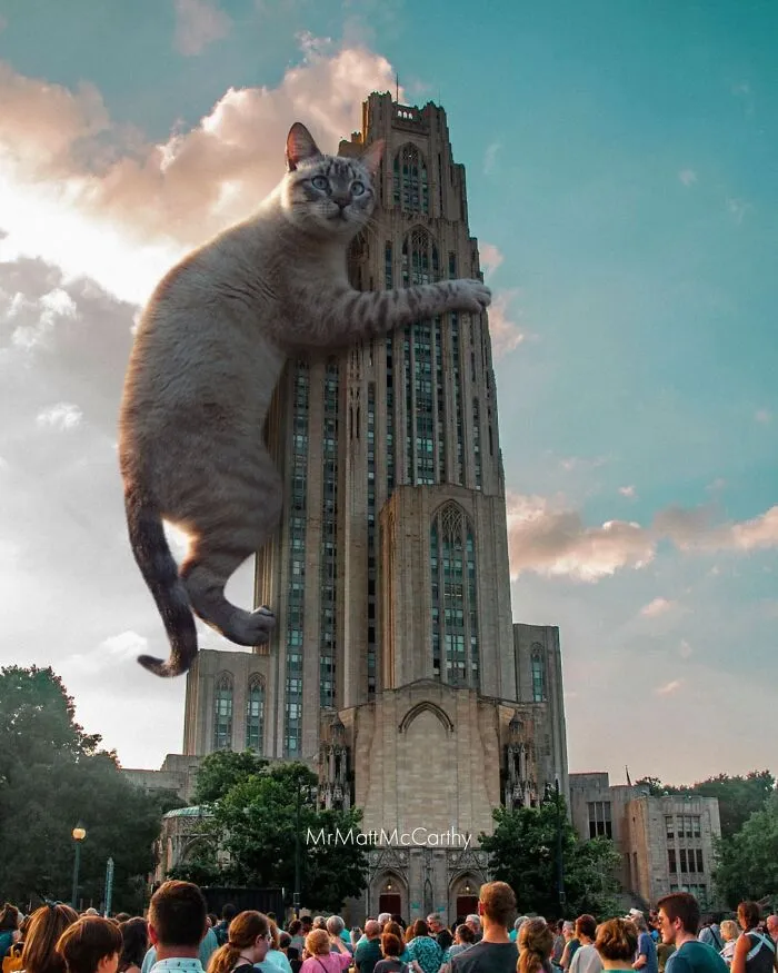 Artist Imagines Surreal Parallel Universe Where Giant Cats Reign, And Here Are 30 New Pieces