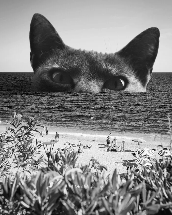 Artist Imagines Surreal Parallel Universe Where Giant Cats Reign, And Here Are 30 New Pieces