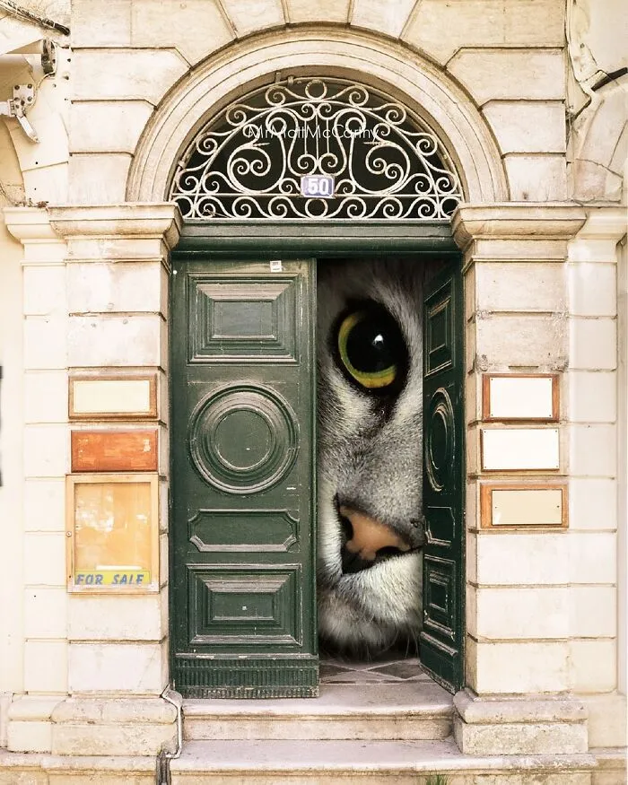 Artist Imagines Surreal Parallel Universe Where Giant Cats Reign, And Here Are 30 New Pieces