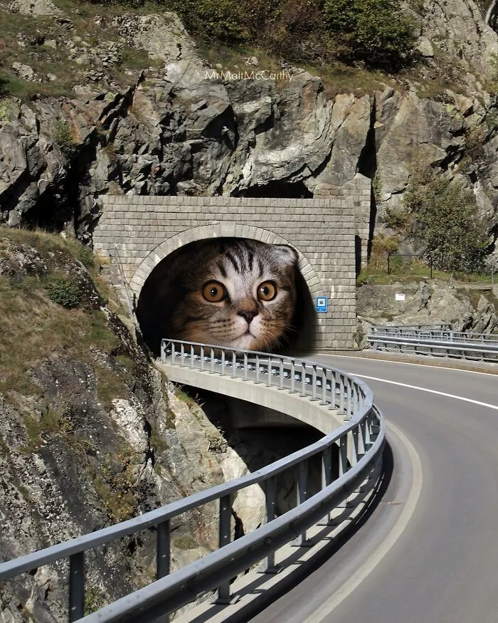 Artist Imagines Surreal Parallel Universe Where Giant Cats Reign, And Here Are 30 New Pieces
