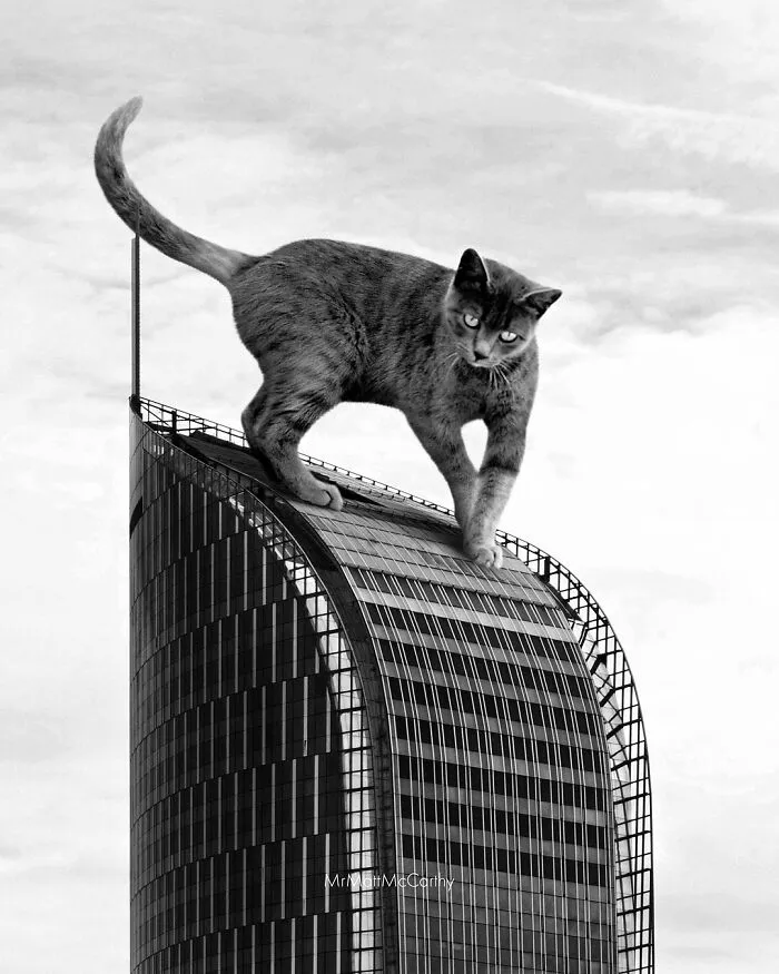 Artist Imagines Surreal Parallel Universe Where Giant Cats Reign, And Here Are 30 New Pieces