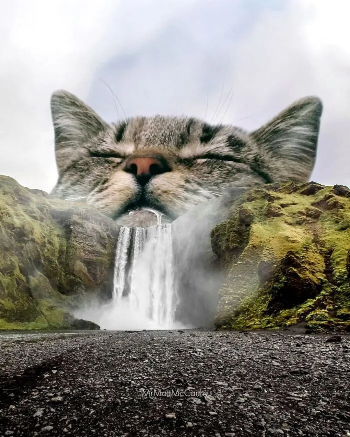 Artist Imagines Surreal Parallel Universe Where Giant Cats Reign, And Here Are 30 New Pieces