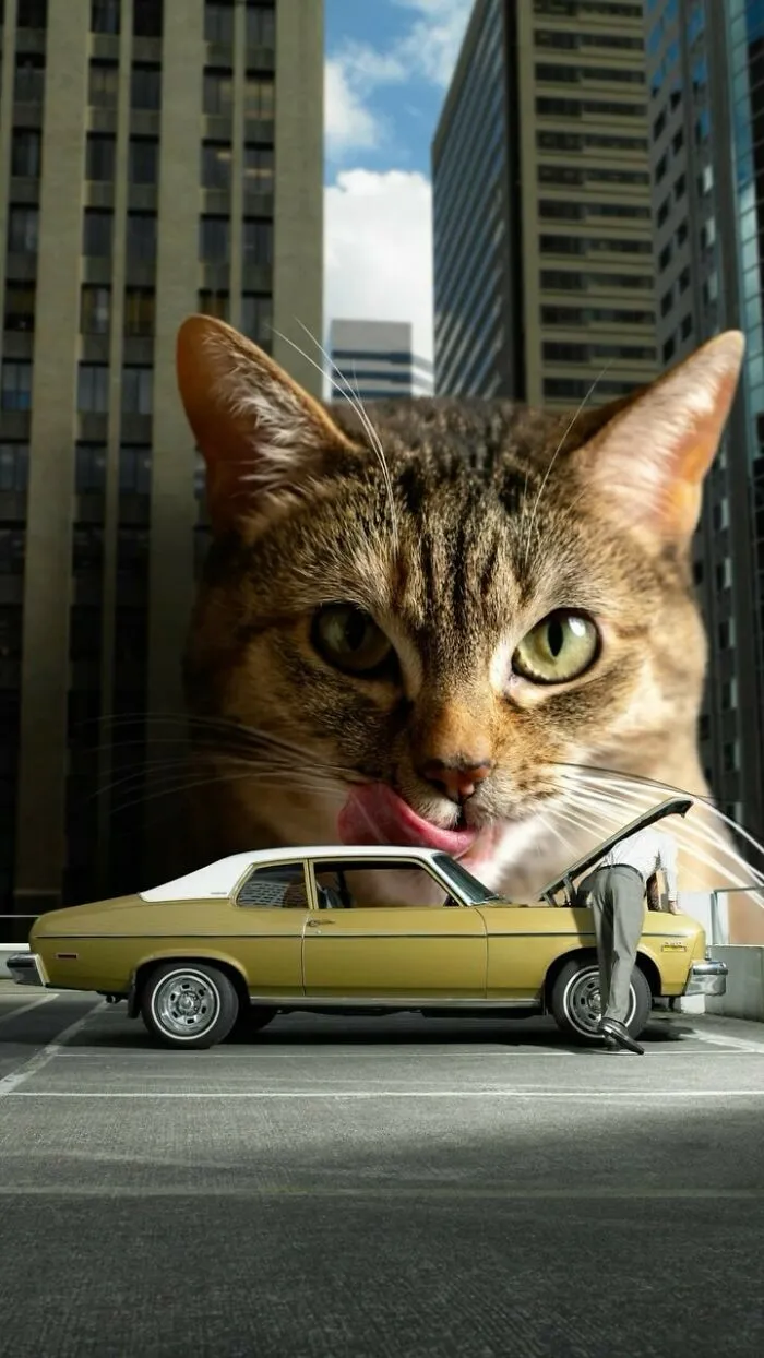 Artist Imagines Surreal Parallel Universe Where Giant Cats Reign, And Here Are 30 New Pieces