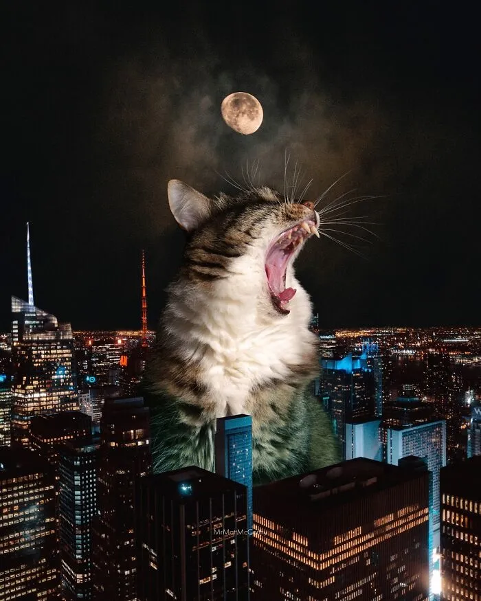 Artist Imagines Surreal Parallel Universe Where Giant Cats Reign, And Here Are 30 New Pieces