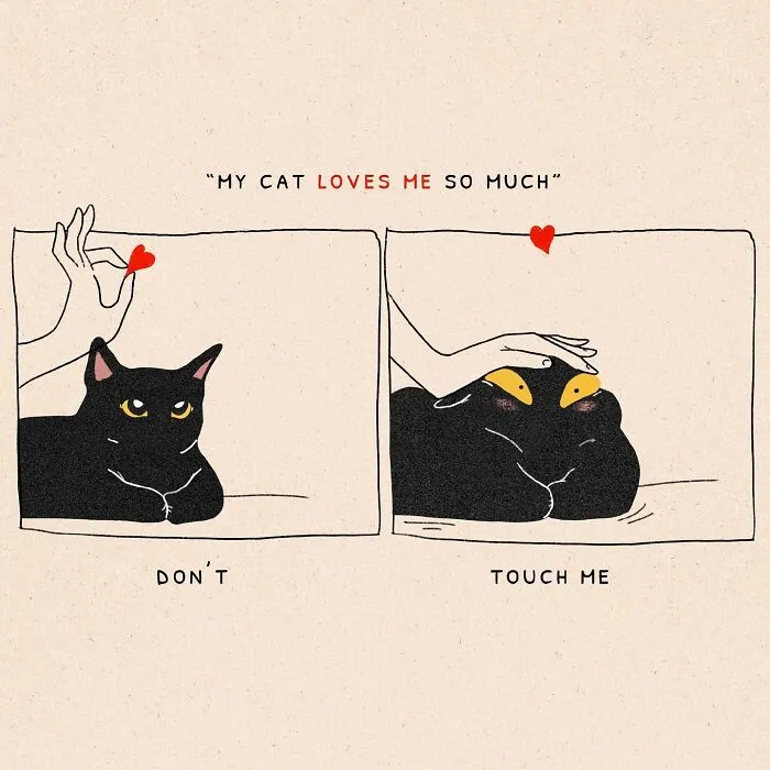 Cat Lovers