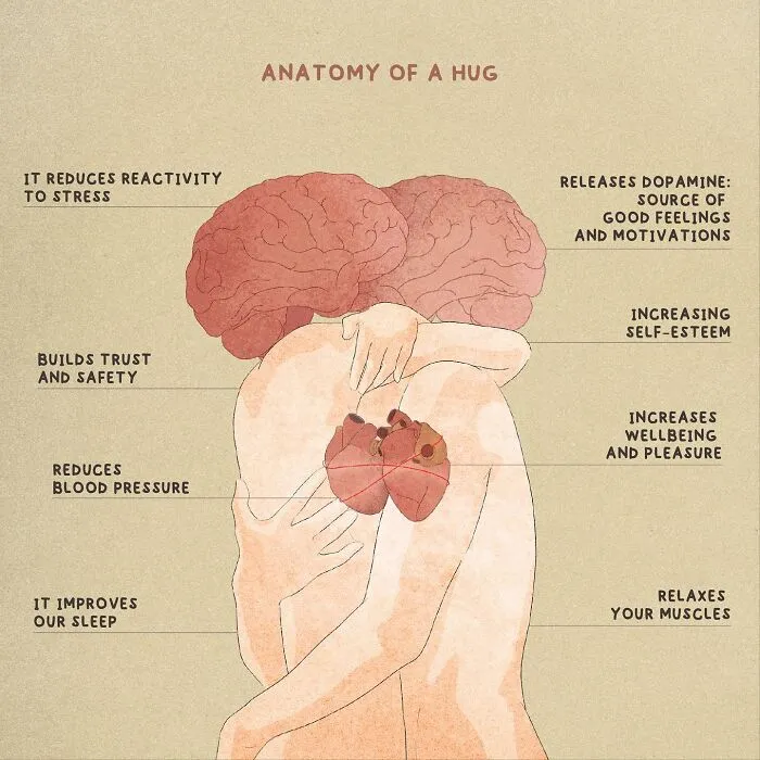Anatomy Of A Hug