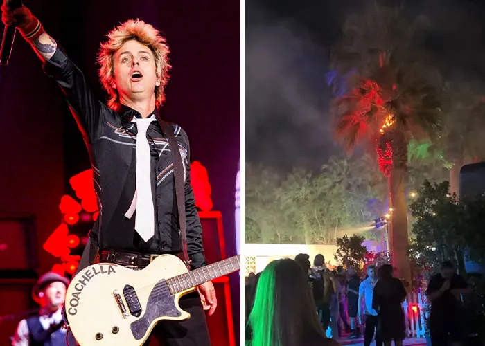 Green Day set a tree on fire 