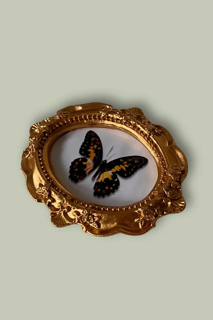 Monarch