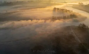 Here's 11 Photos I Took Of The Magical Fog That Transformed My Hometown