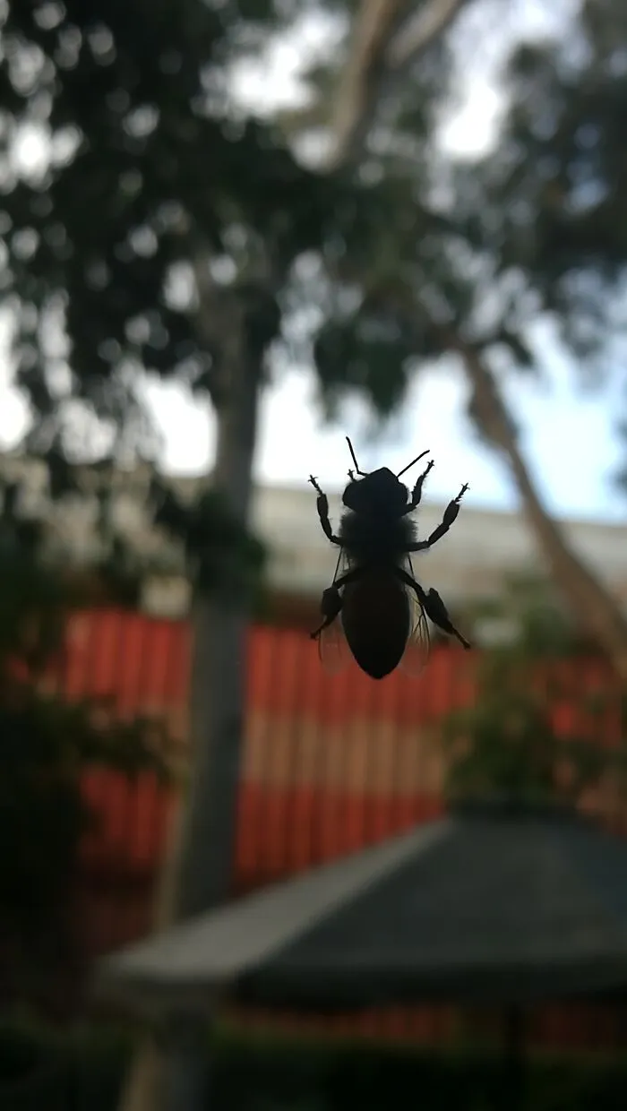 I Took Some Photos In The Wild, Here's The Result