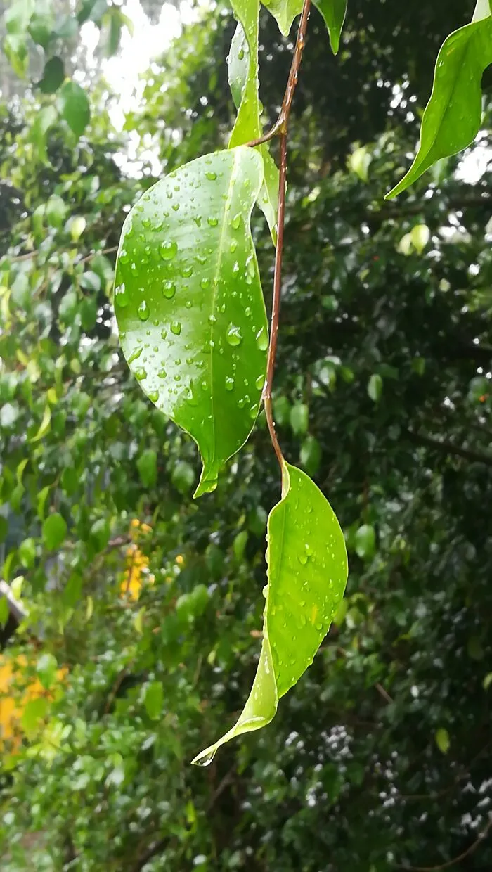 I Took Some Photos In The Wild, Here's The Result