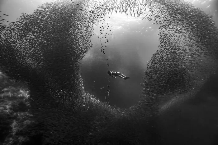 Single Sports 3rd Prize (Camilo Diaz / Colombia)