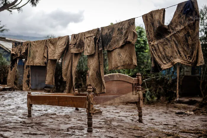 Story Nature & Environment 1st Prize (Luis Tato / Afp / Spain)