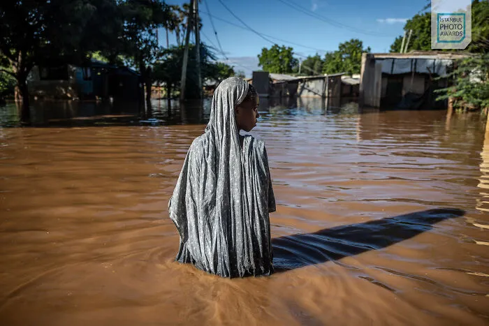 Story Nature & Environment 1st Prize (Luis Tato / Afp / Spain)