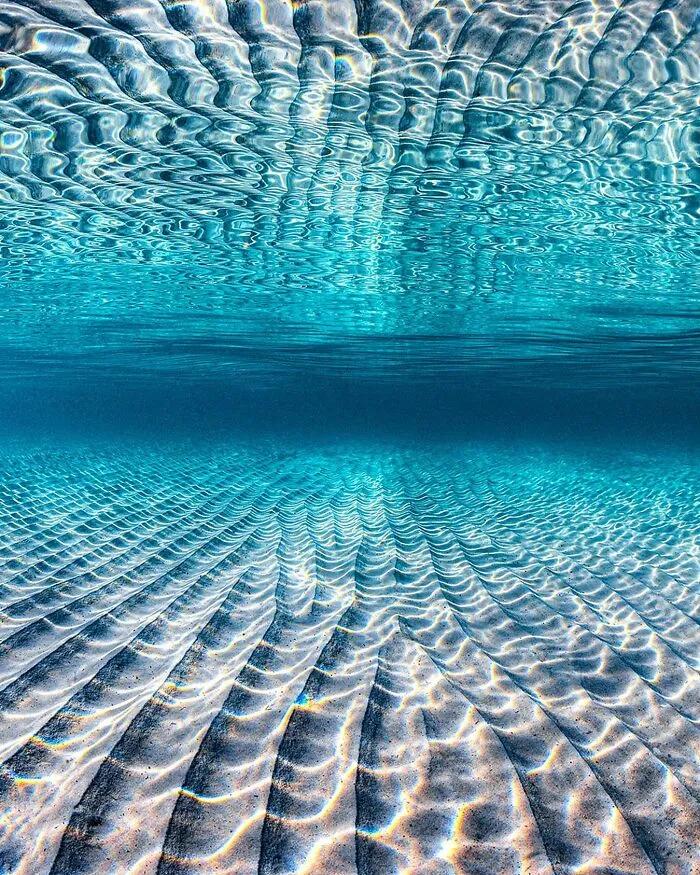 Colorful Underwater World Captured By Ocean Photographer Jordan Robins (48 Pics)