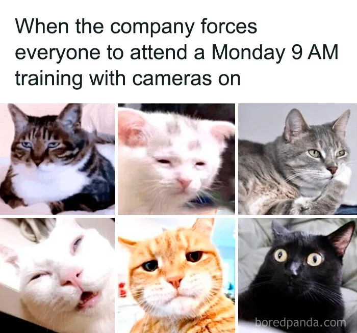 50 Of The Funniest Work Memes To Share With Your Buds At The Water Cooler