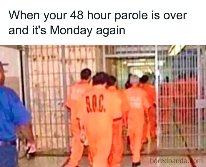 50 Of The Funniest Work Memes To Share With Your Buds At The Water Cooler