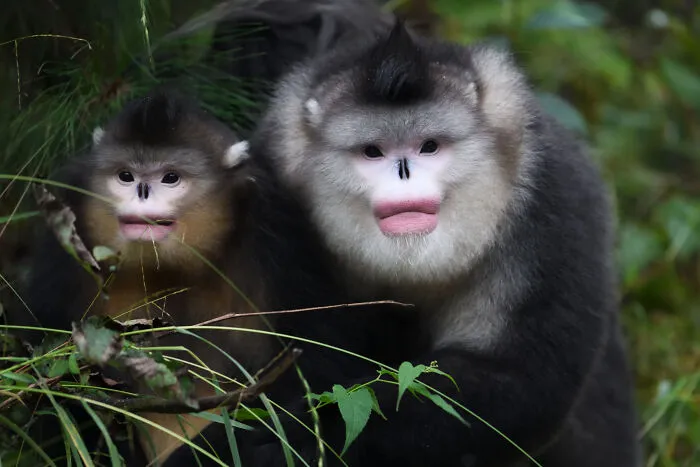 Photographer Captured 30 Captivating Images Depicting The Life Of Wild Animals
