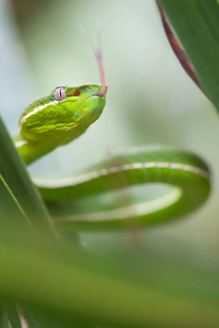 Photographer Captured 30 Captivating Images Depicting The Life Of Wild Animals