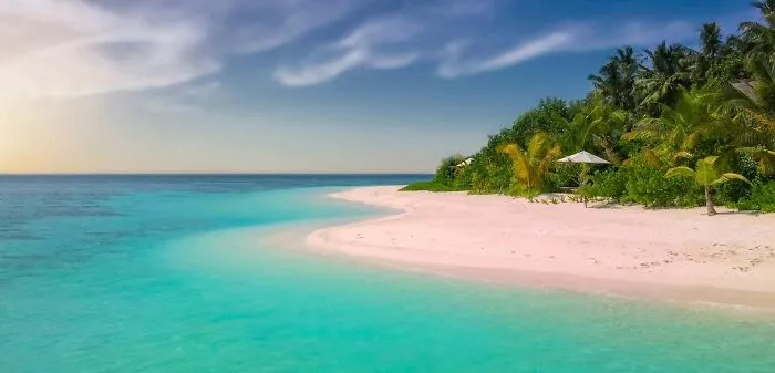 You and a small group are stranded on an island with a limited amount of food sources. One person is quite weak and unlikely to make it. Do you share the food equally anyway or prioritize according to who is likely to make it?