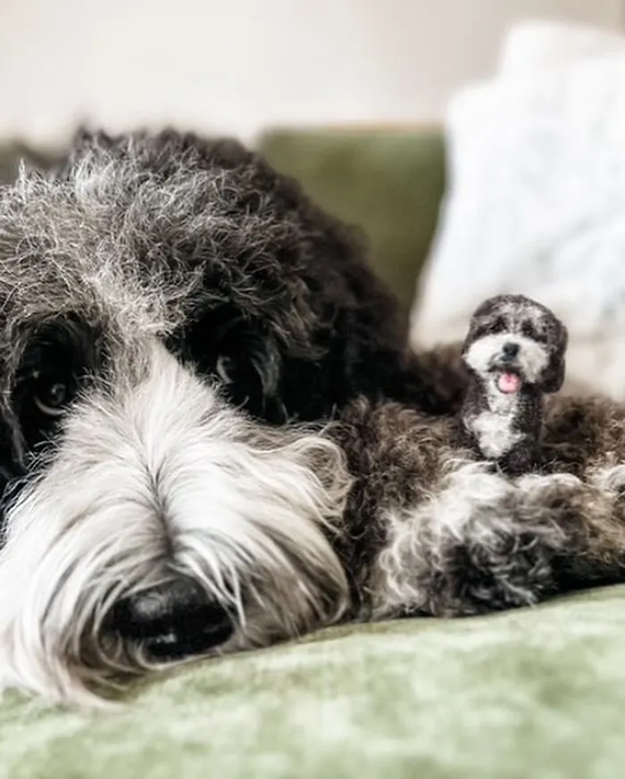 35 Adorable Mini Pets Made Of Felt By This Talented Artist