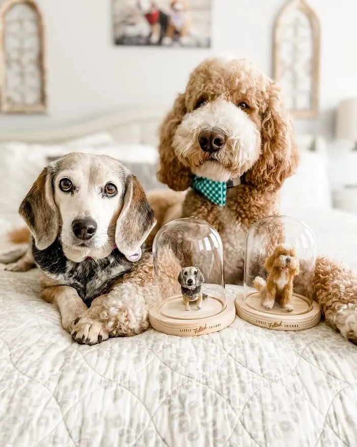 35 Adorable Mini Pets Made Of Felt By This Talented Artist
