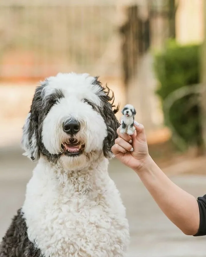 35 Adorable Mini Pets Made Of Felt By This Talented Artist